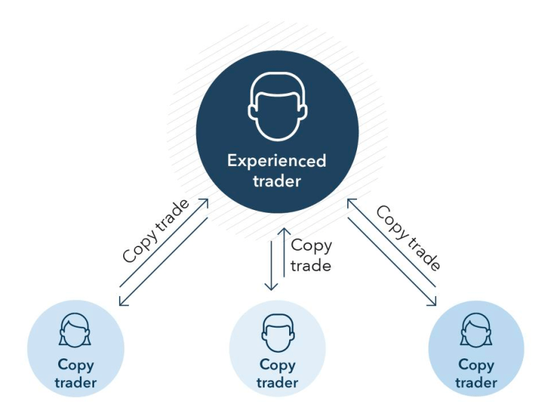 期货、外汇、数字货币跟单社区搭建
