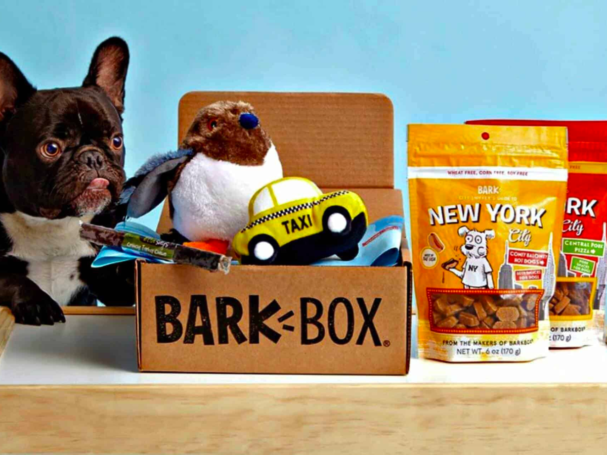 美股SPAC解析EP04：STIC（宠物服务)——非常优质的合并对象BarkBox